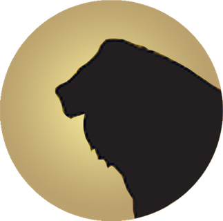 The Lion and Sun Corp. logo